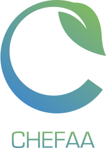 Finalist Egypt Logo